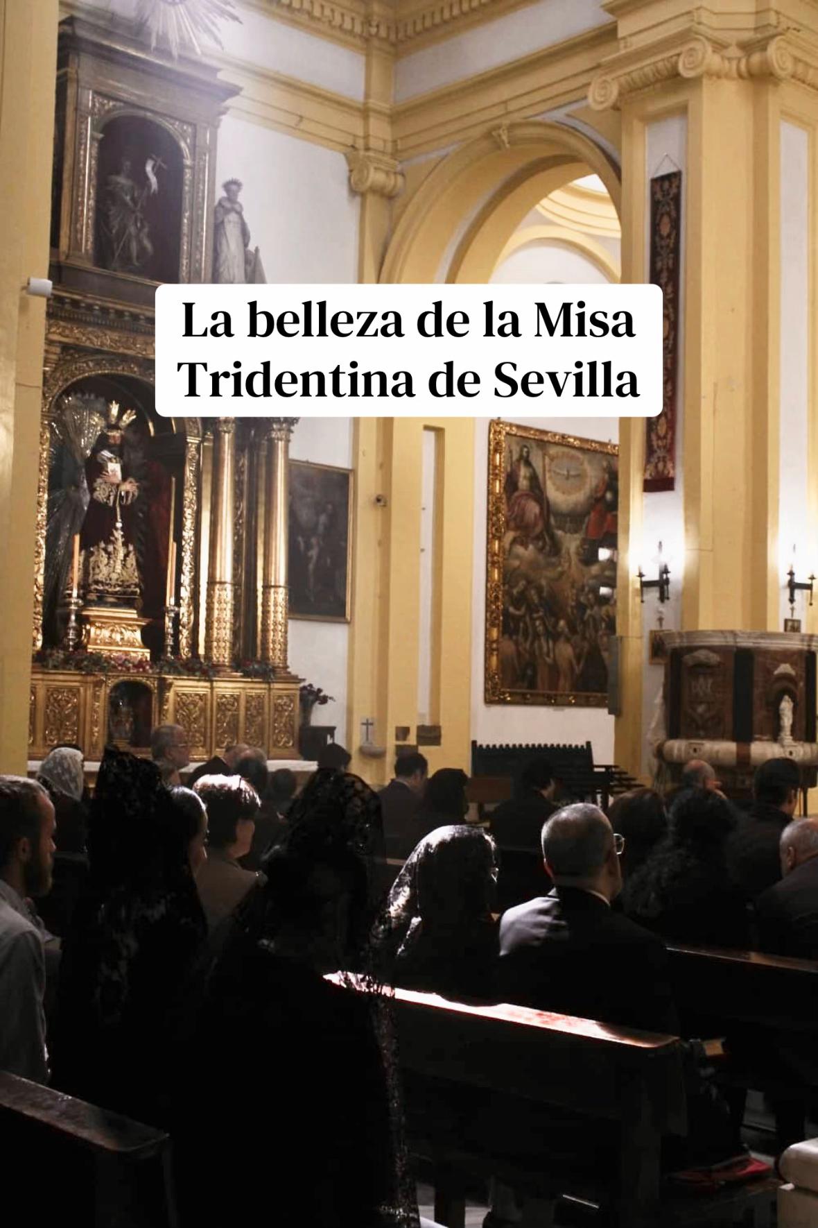 @Cristina 🇻🇦