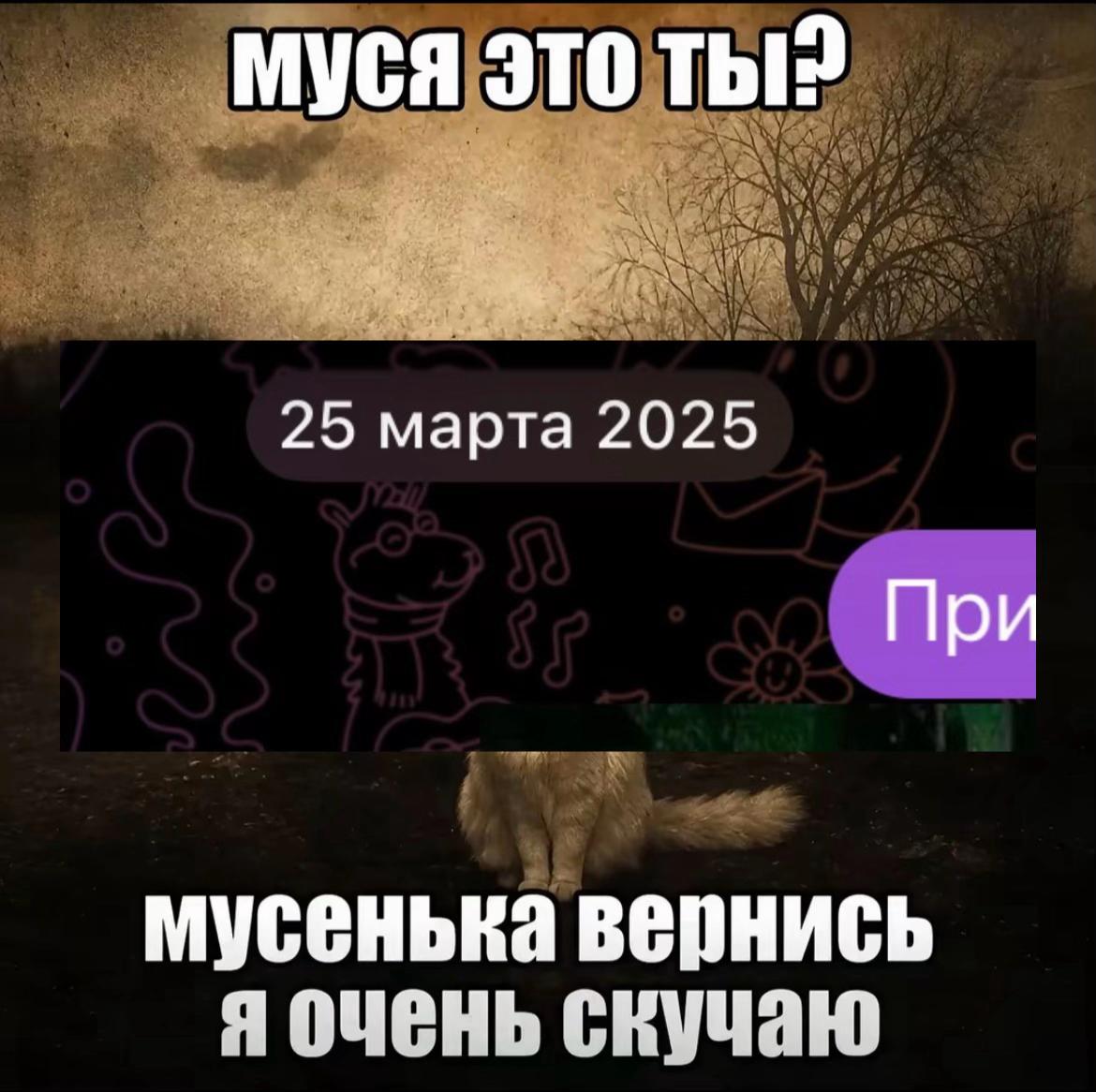 @Вильтрумит 11987