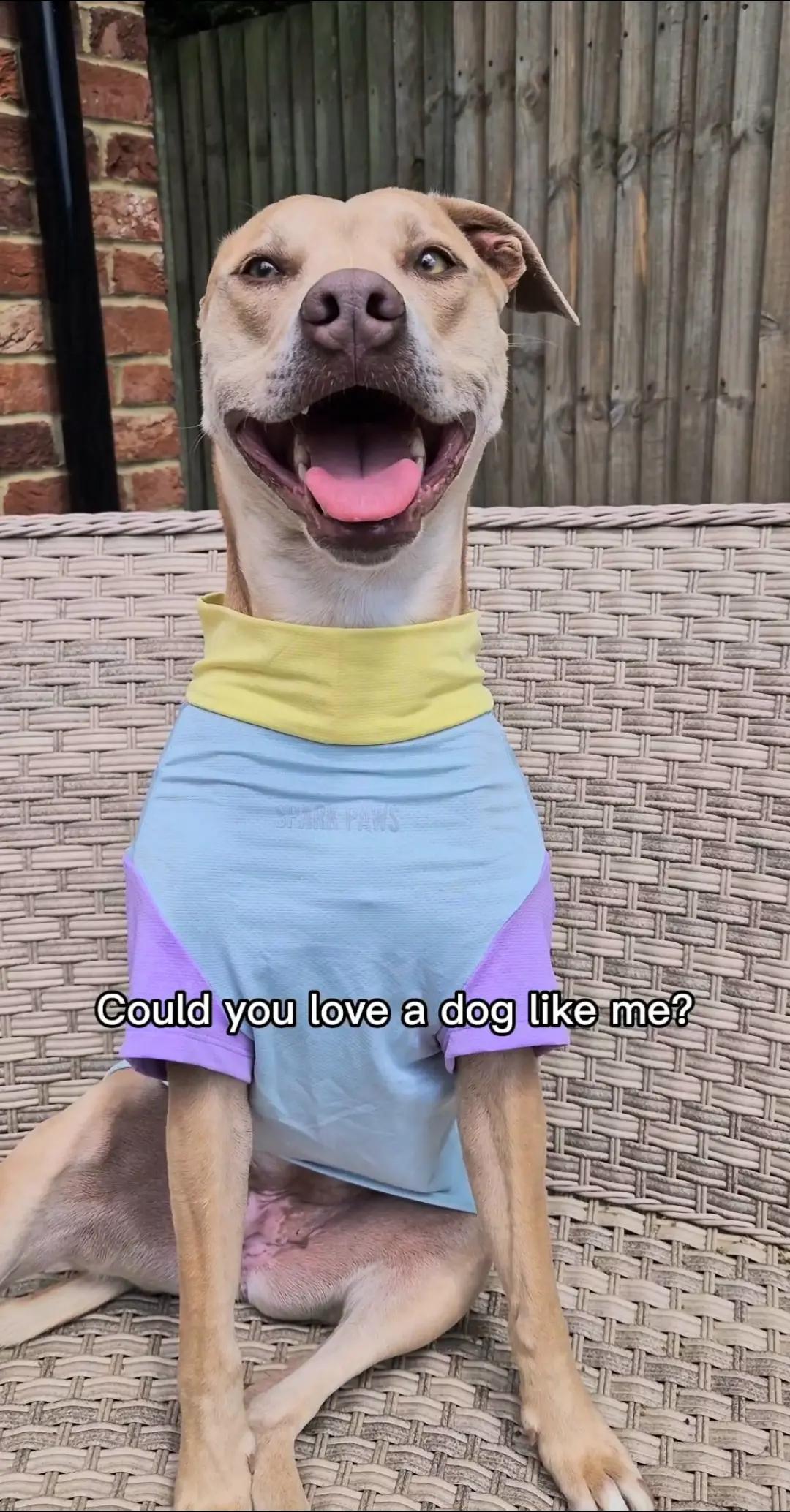 @Sky & Storm