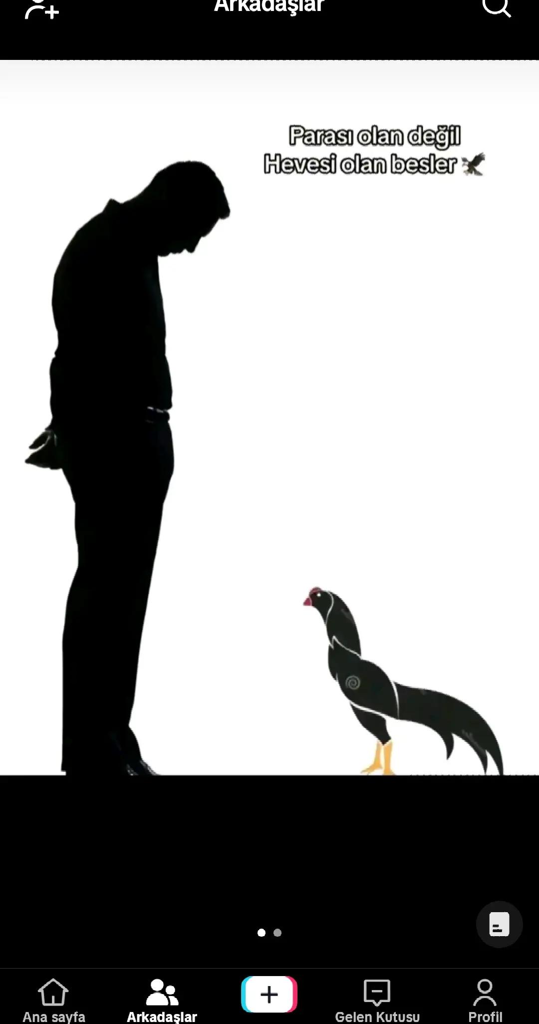 @HOROZCU CANE 🐓
