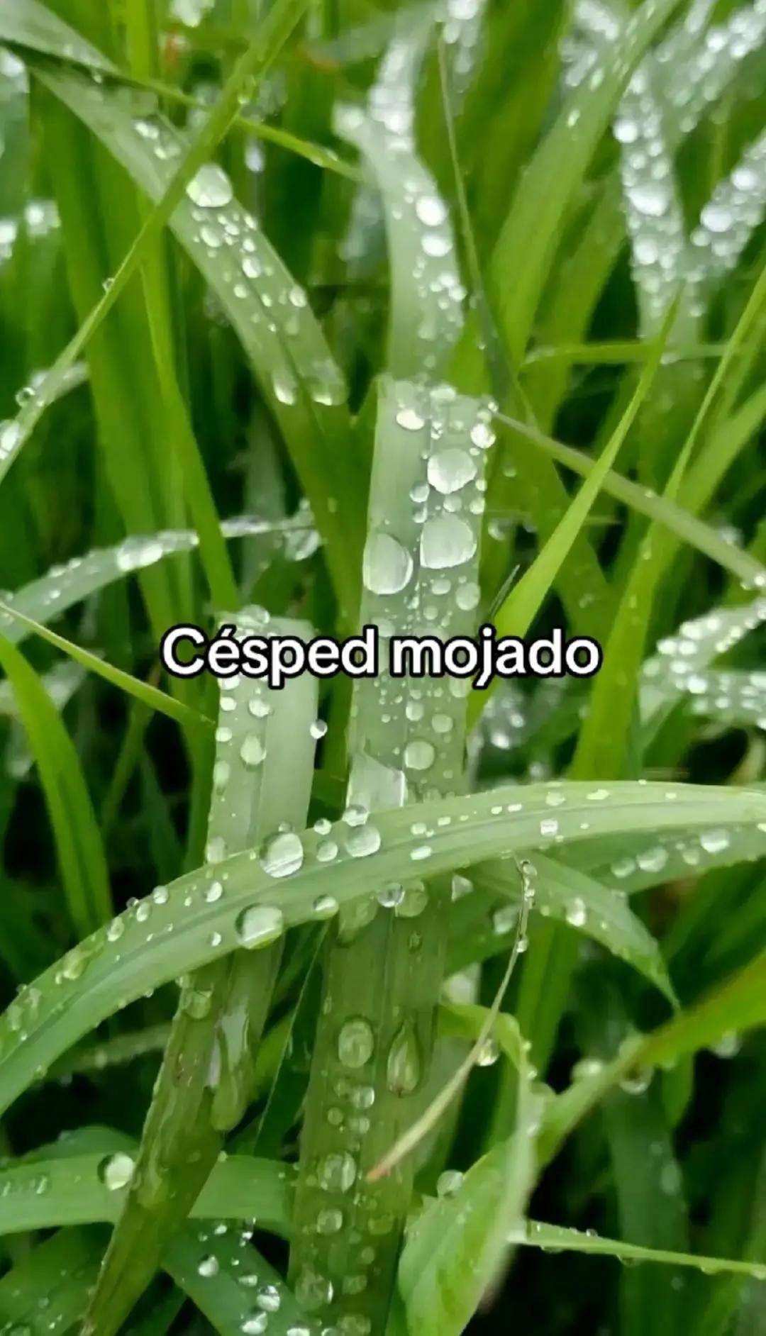 @☆Panaff