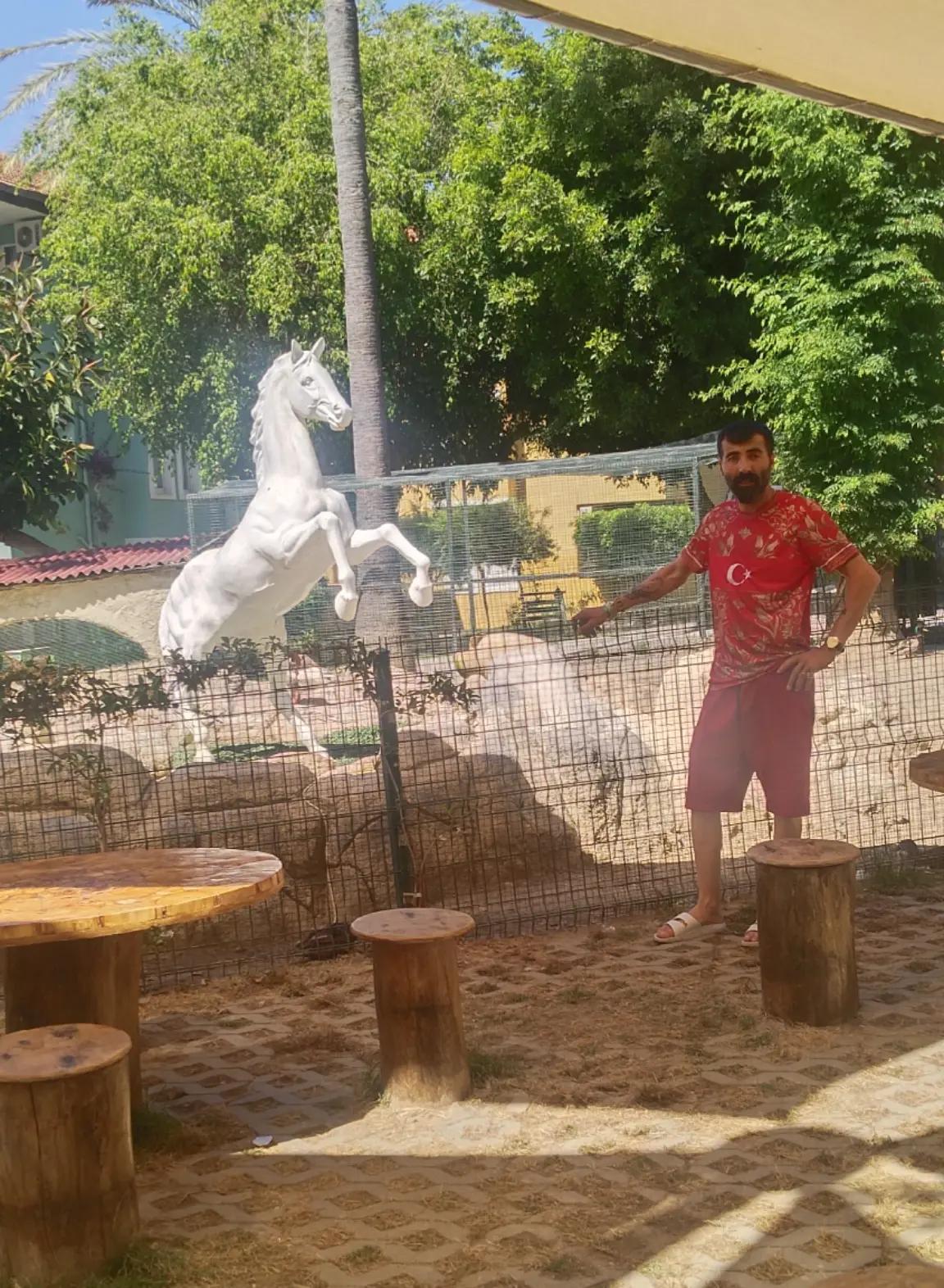 @Özcan Tasdeler