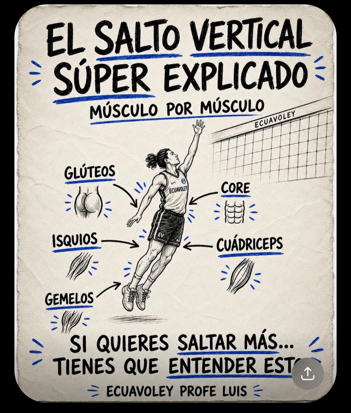 @ECUAVOLEY EL PROFE LUIS