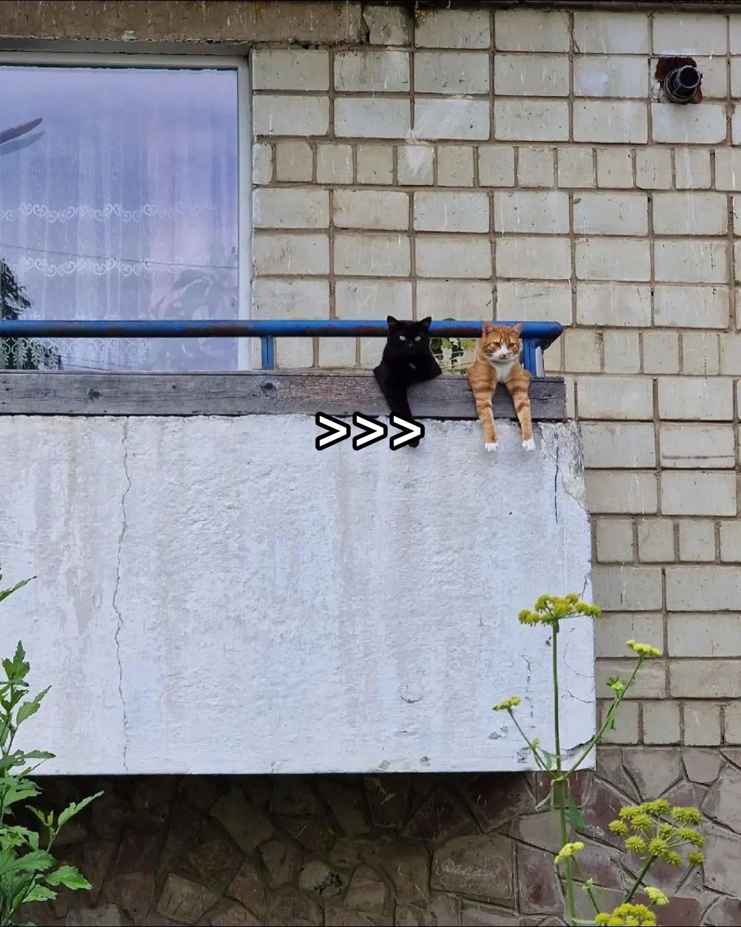 @мяточка.