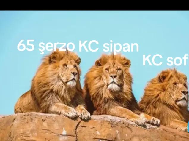 @Şerzan