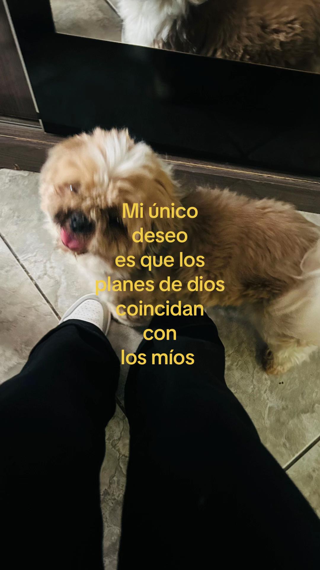 @Davianny