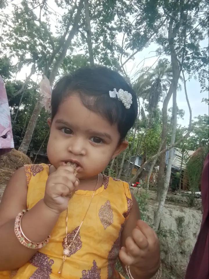@Al Amin Howlader