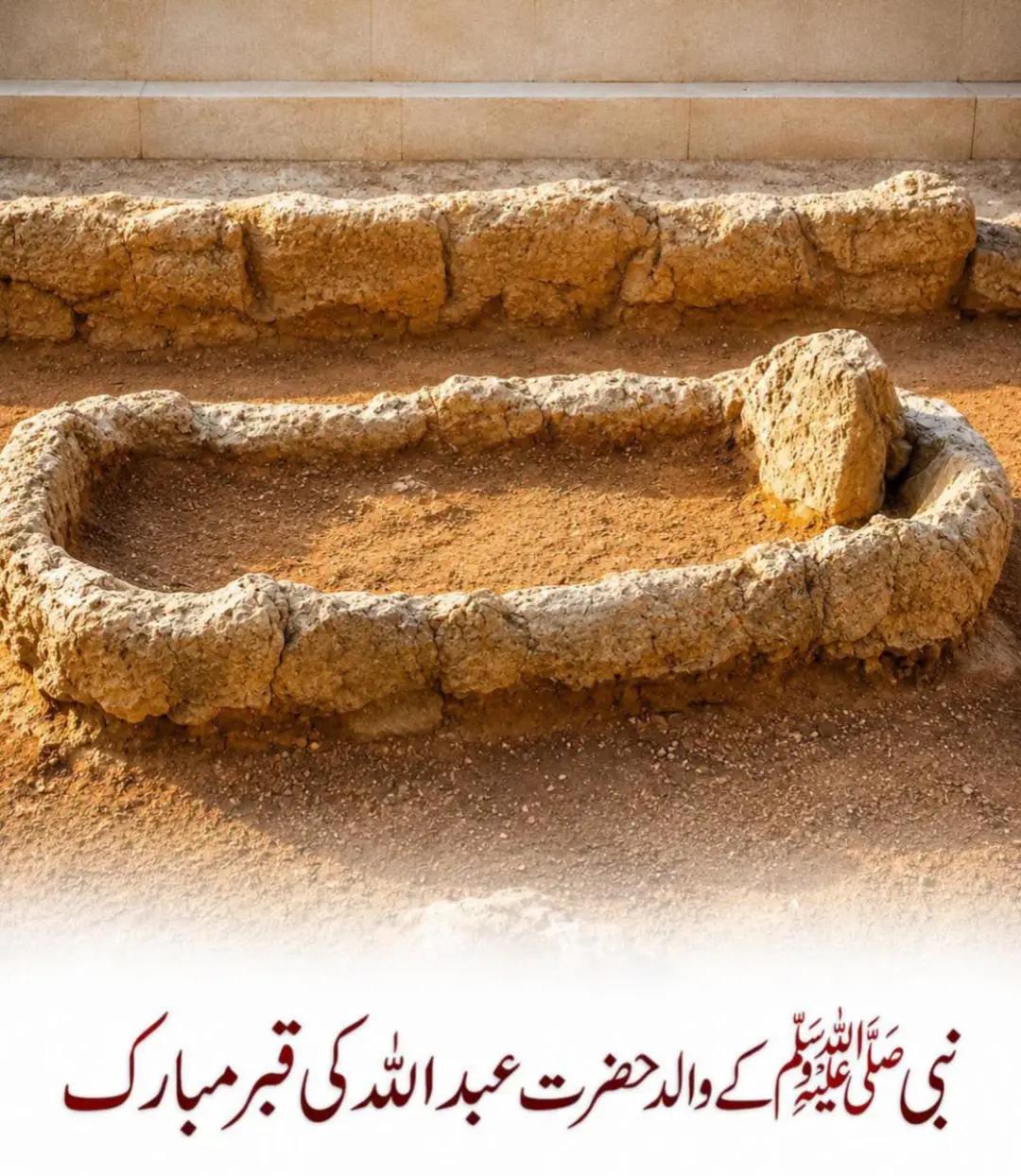 @M Faheem Ahmed
