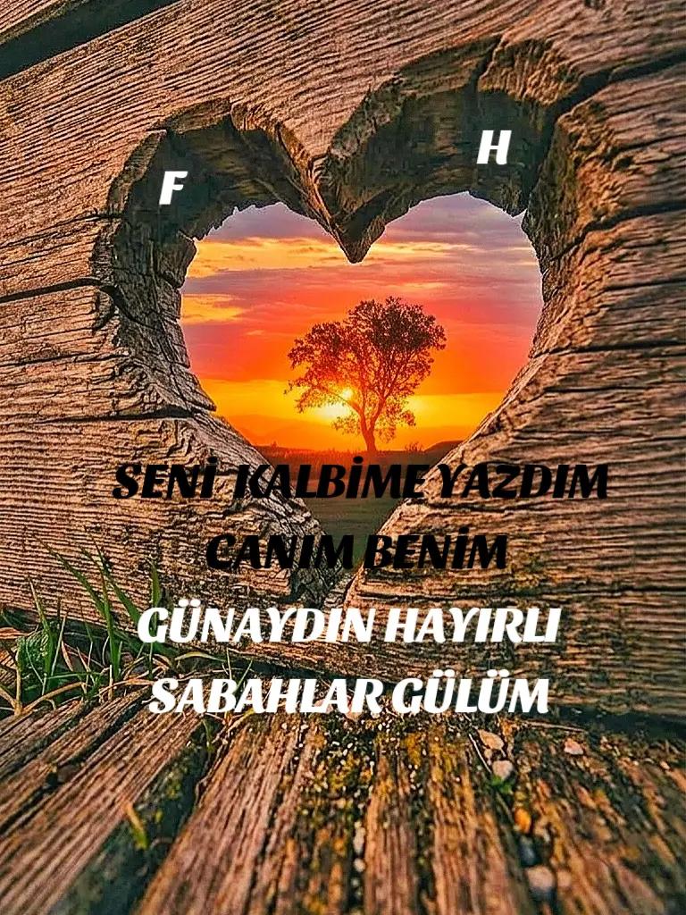 @Hasan Yılmaz
