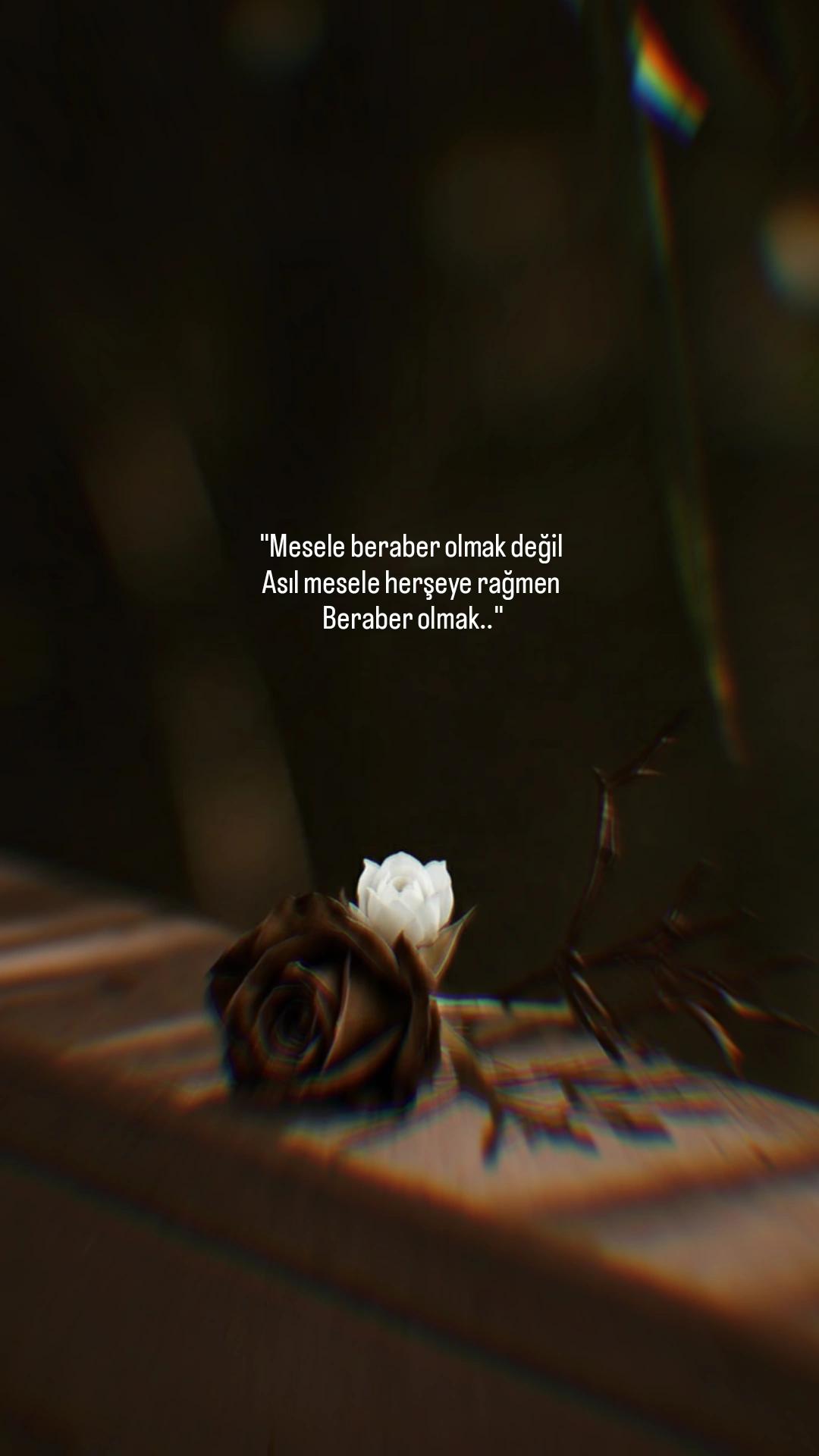 @1siyahsokak