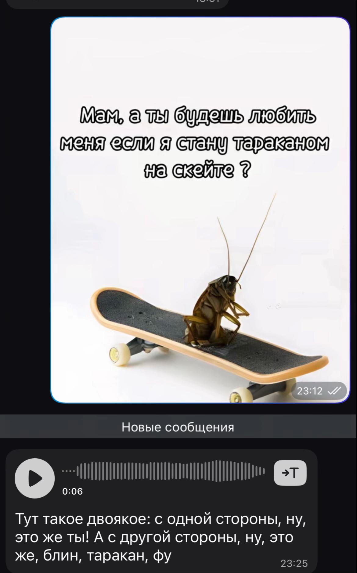 @𝓛𝓲𝓴𝓾𝓼𝓪