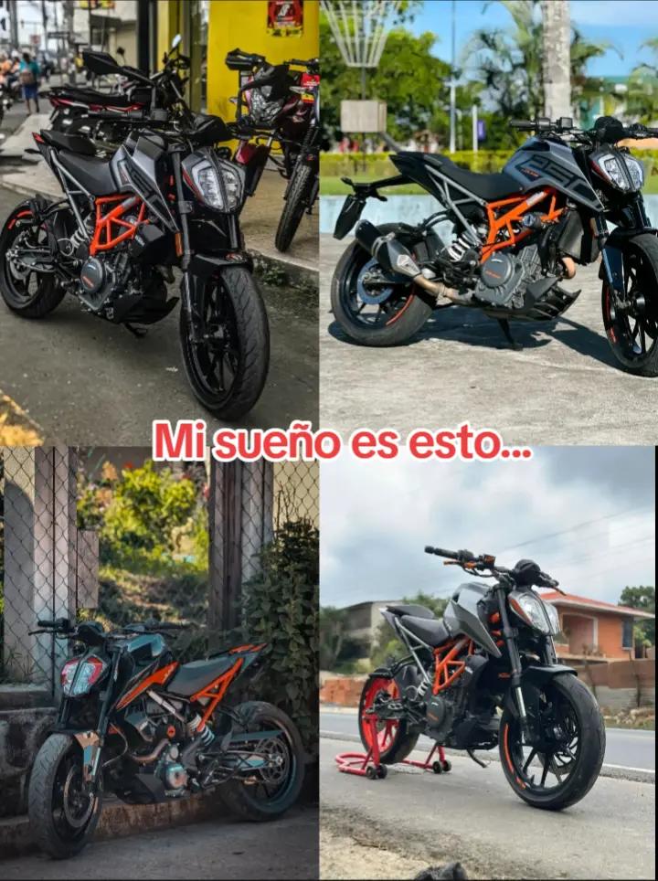 @Mininocturna🚀