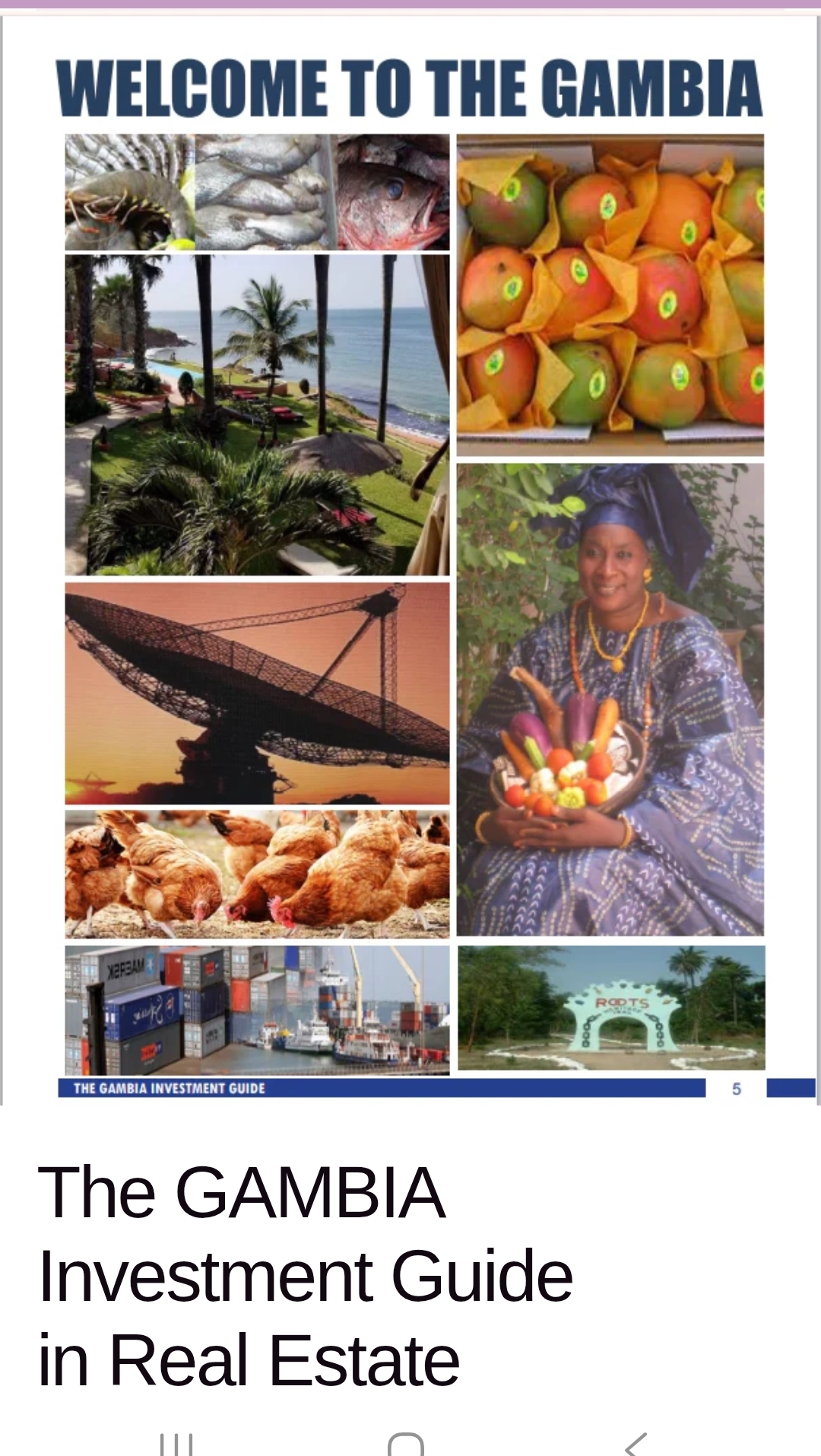 @BUILDWISE REAL ESTATE, GAMBIA