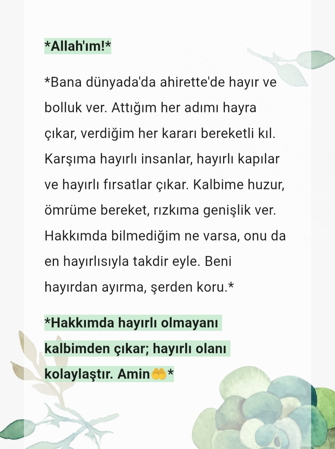 @orhanmarangoz🏵️