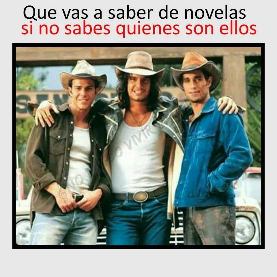 @sarita