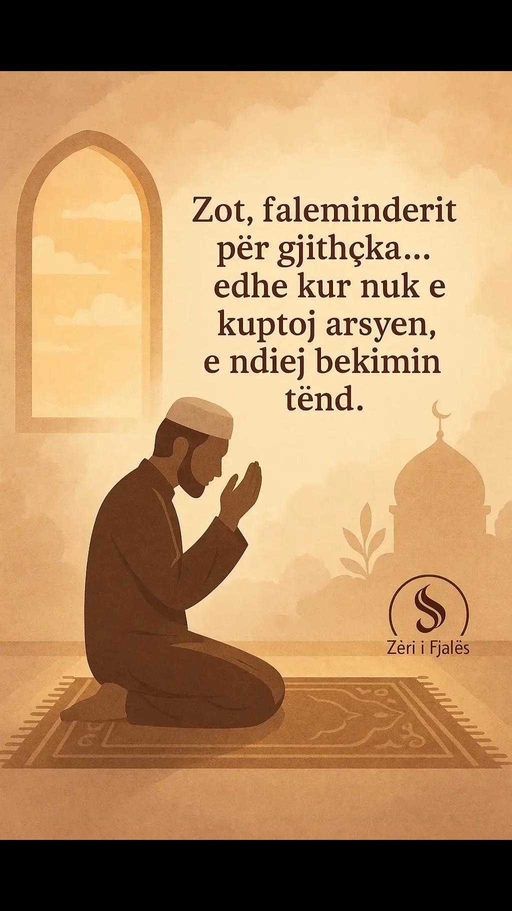@Zeri i Fjales-Z.J