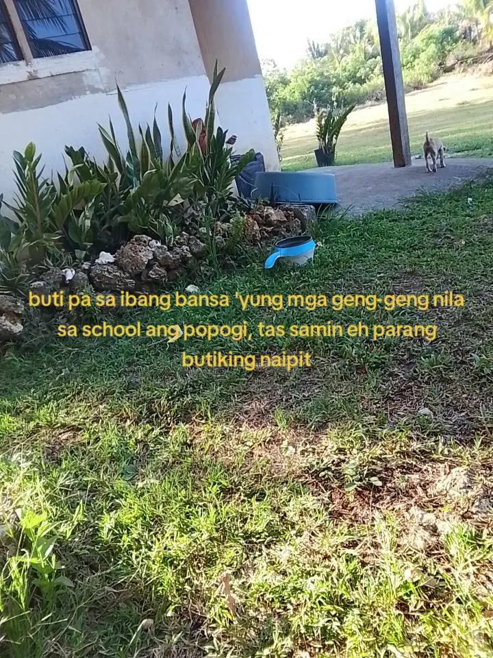 @ความฝัน