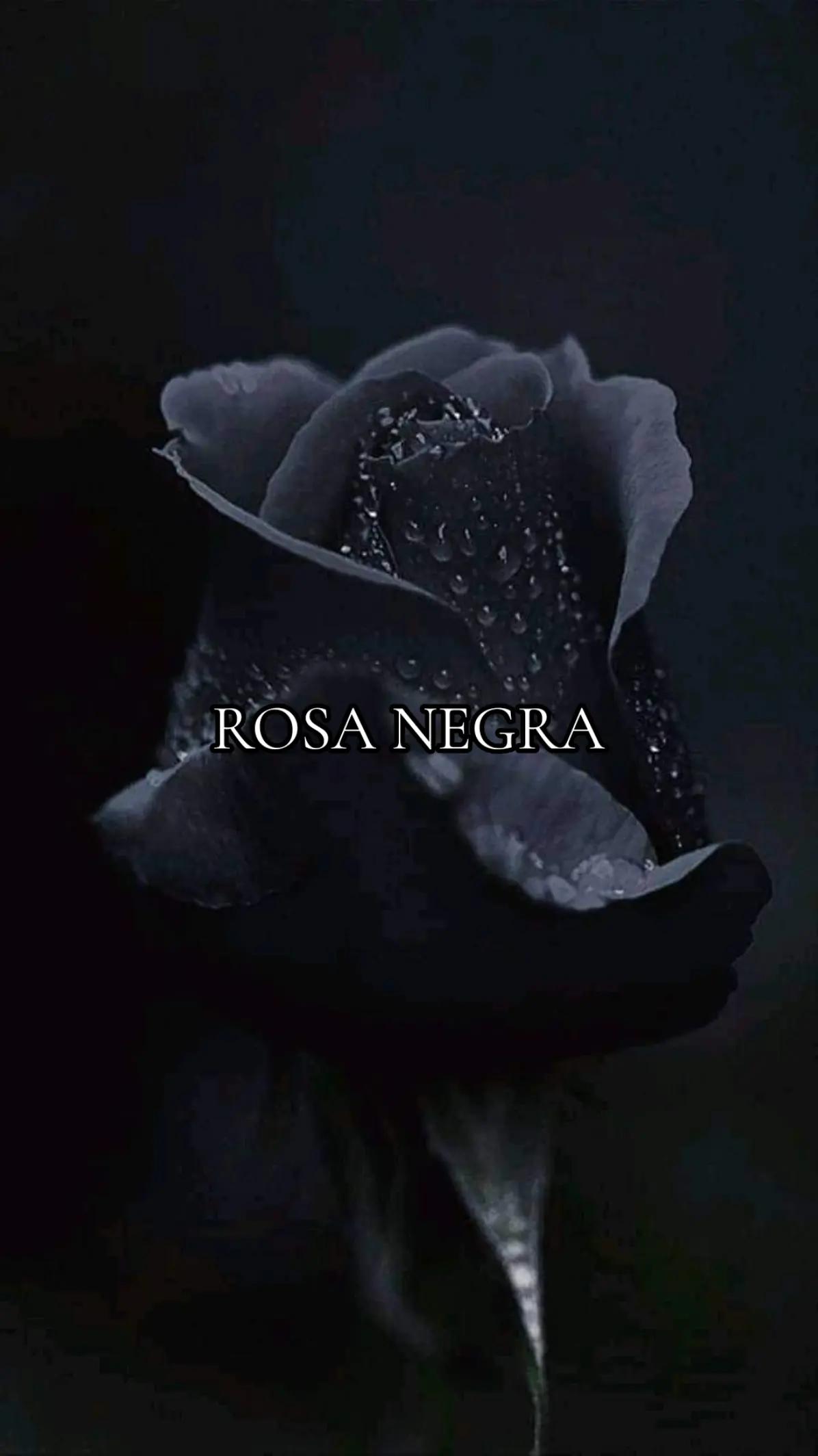 @Rosa.Negraa
