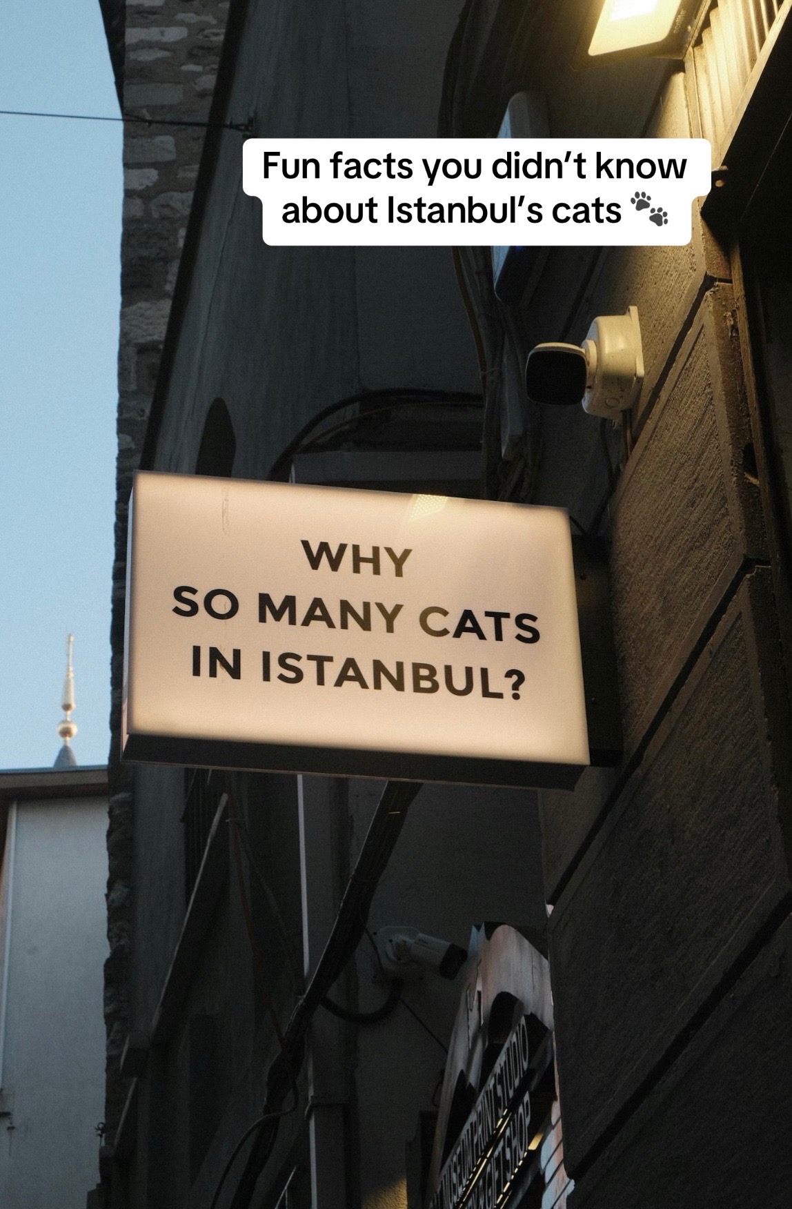 @Turkiye