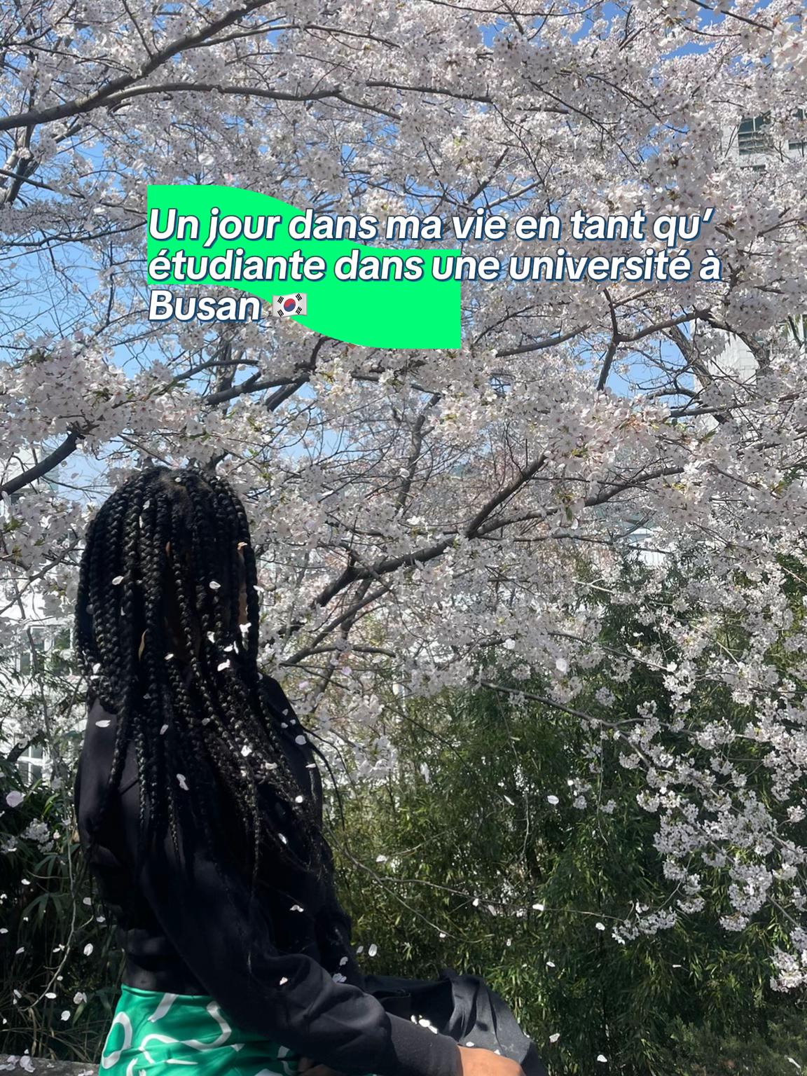 @이메 (Ime🌸) | Polyglot