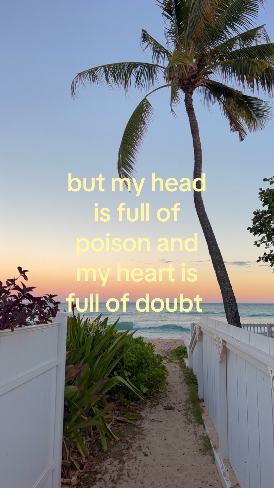@scarlett 🪷