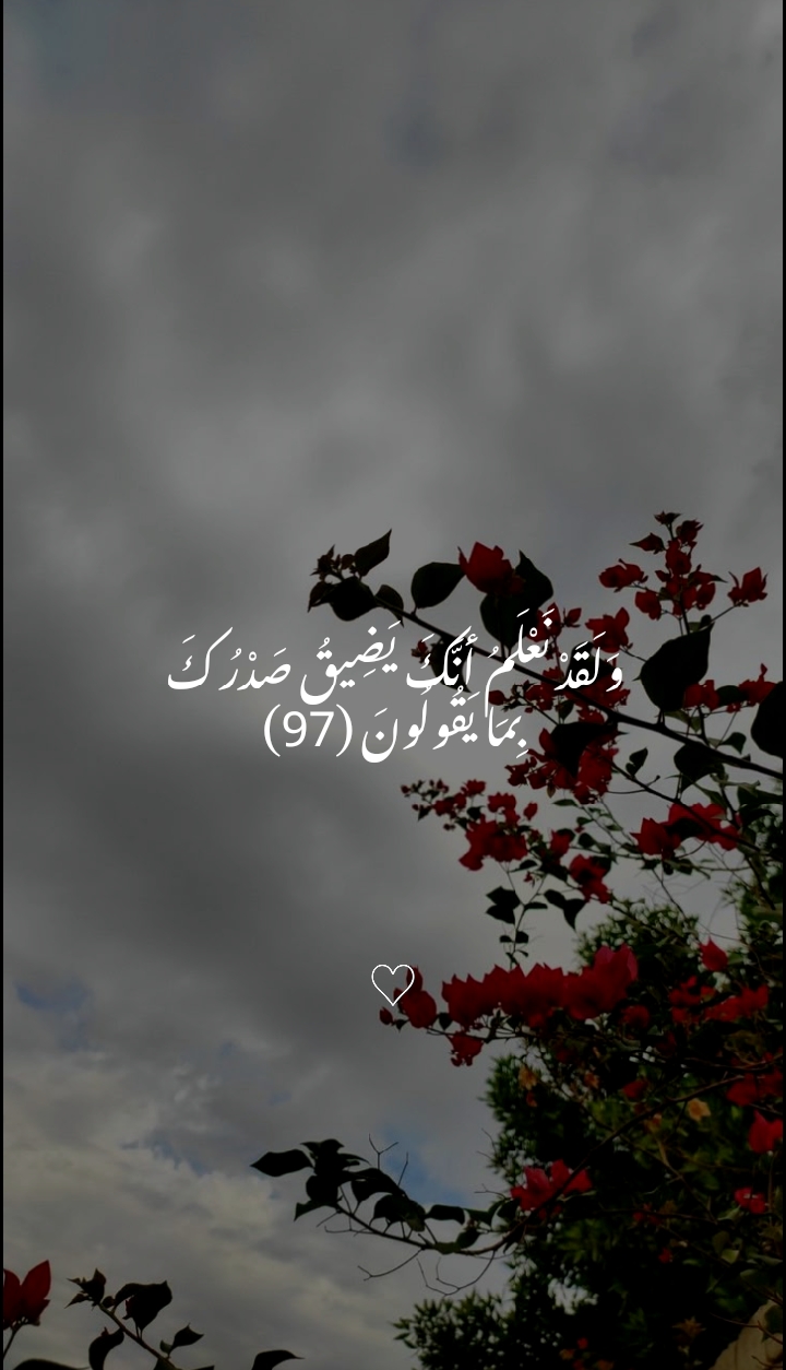 @صدقة جارية🤍