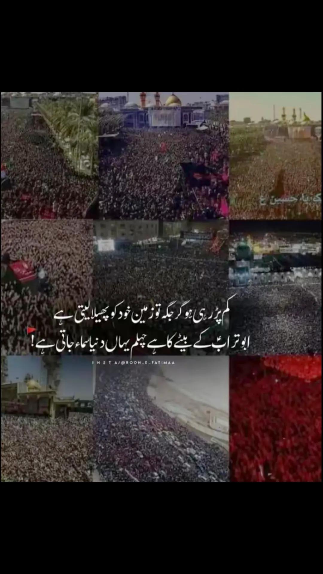 @zar_e_nayaab