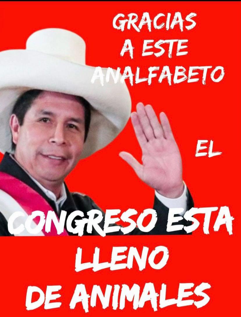 @Jhon Fernando