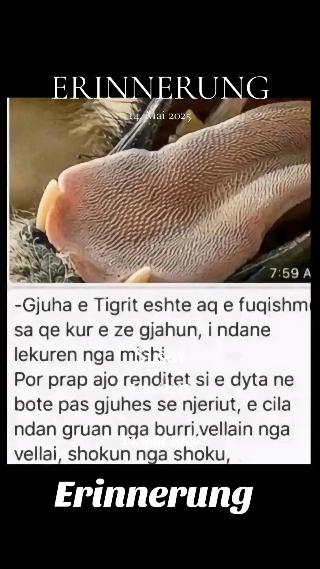@💎🦅Hysni.Z🦅💎