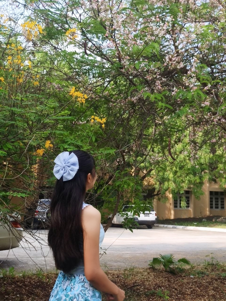 @P for Phoo🐼