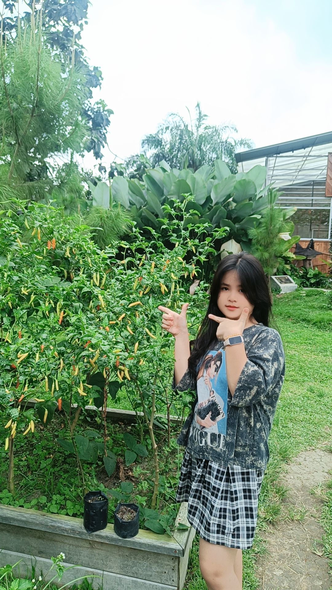 @crayon laris