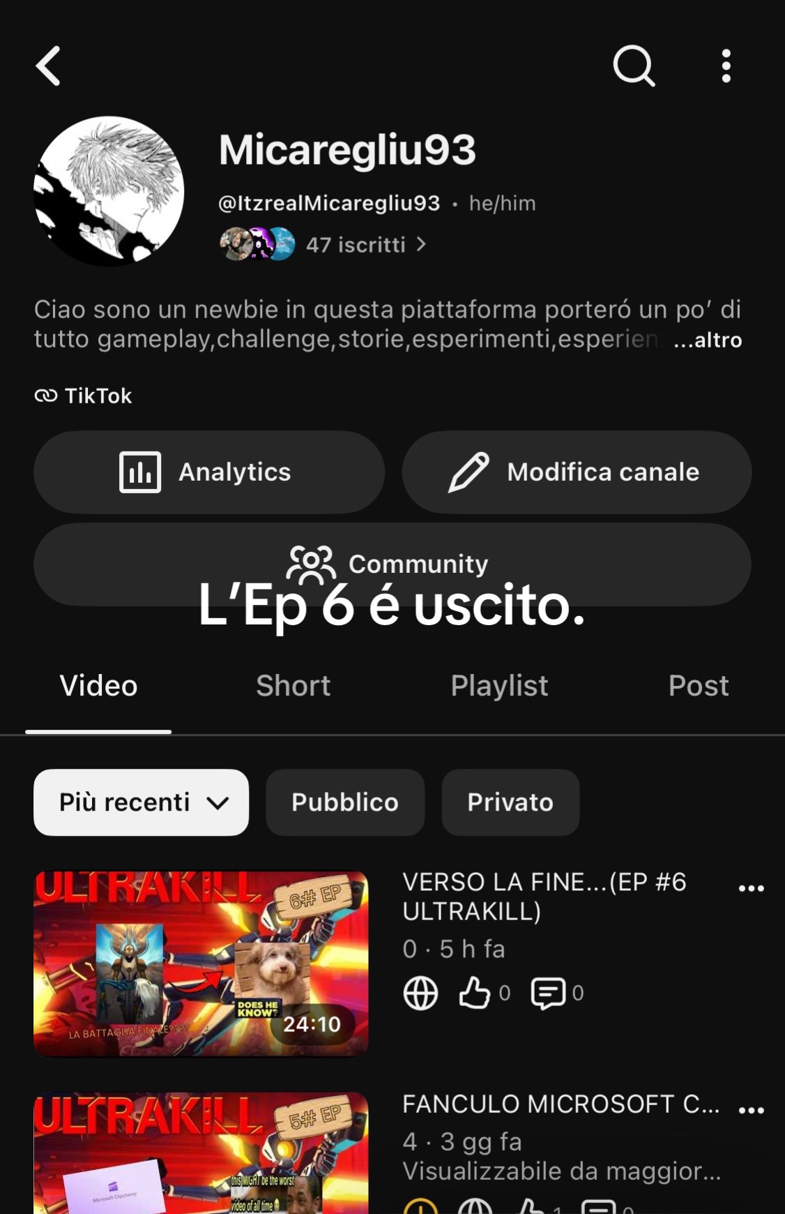 @Micaregliu12