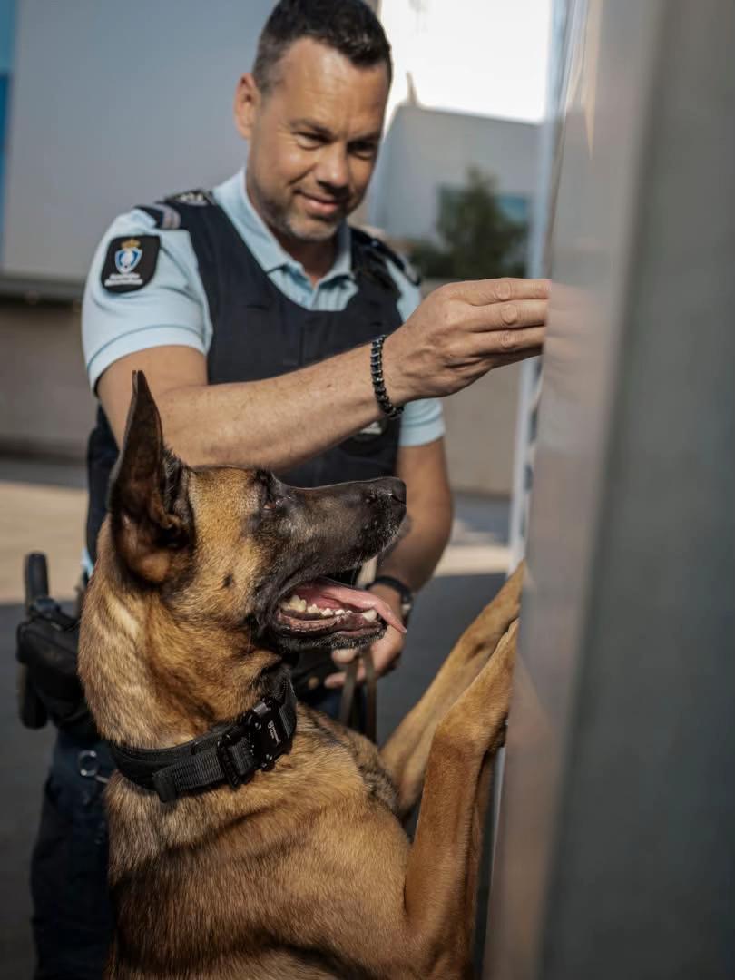 @werkenbijdefensie