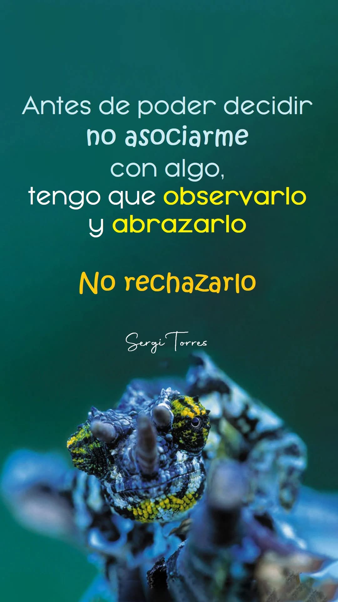 @Viviana Calabrese