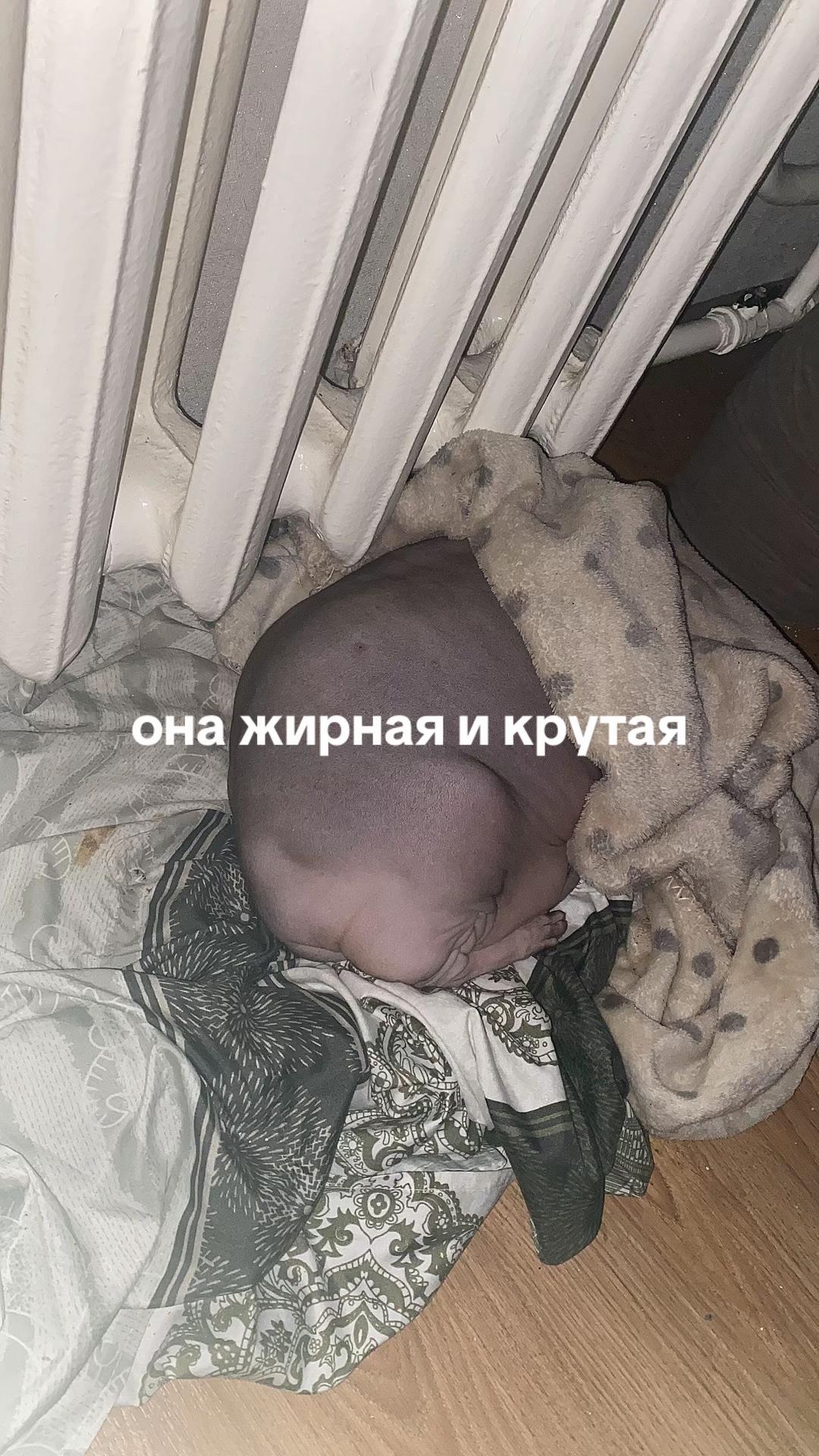 @мс машко