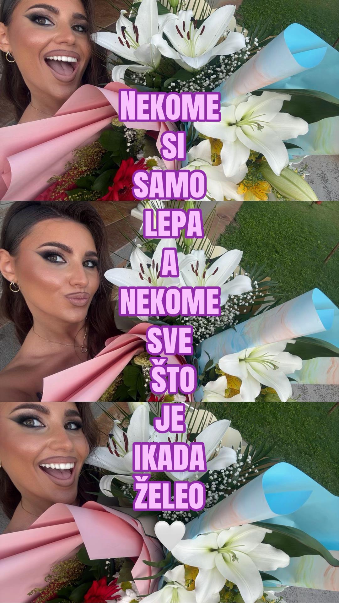 @vidić jellena