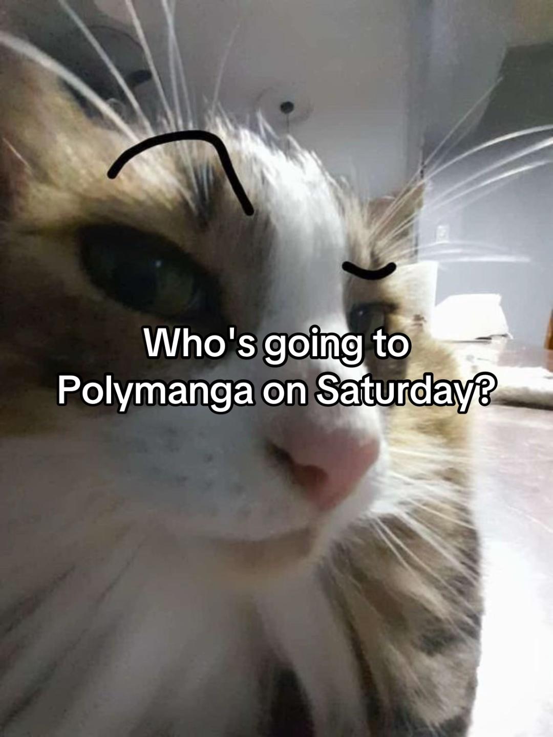@🇨🇭🪲SWISS🪲🇨🇭