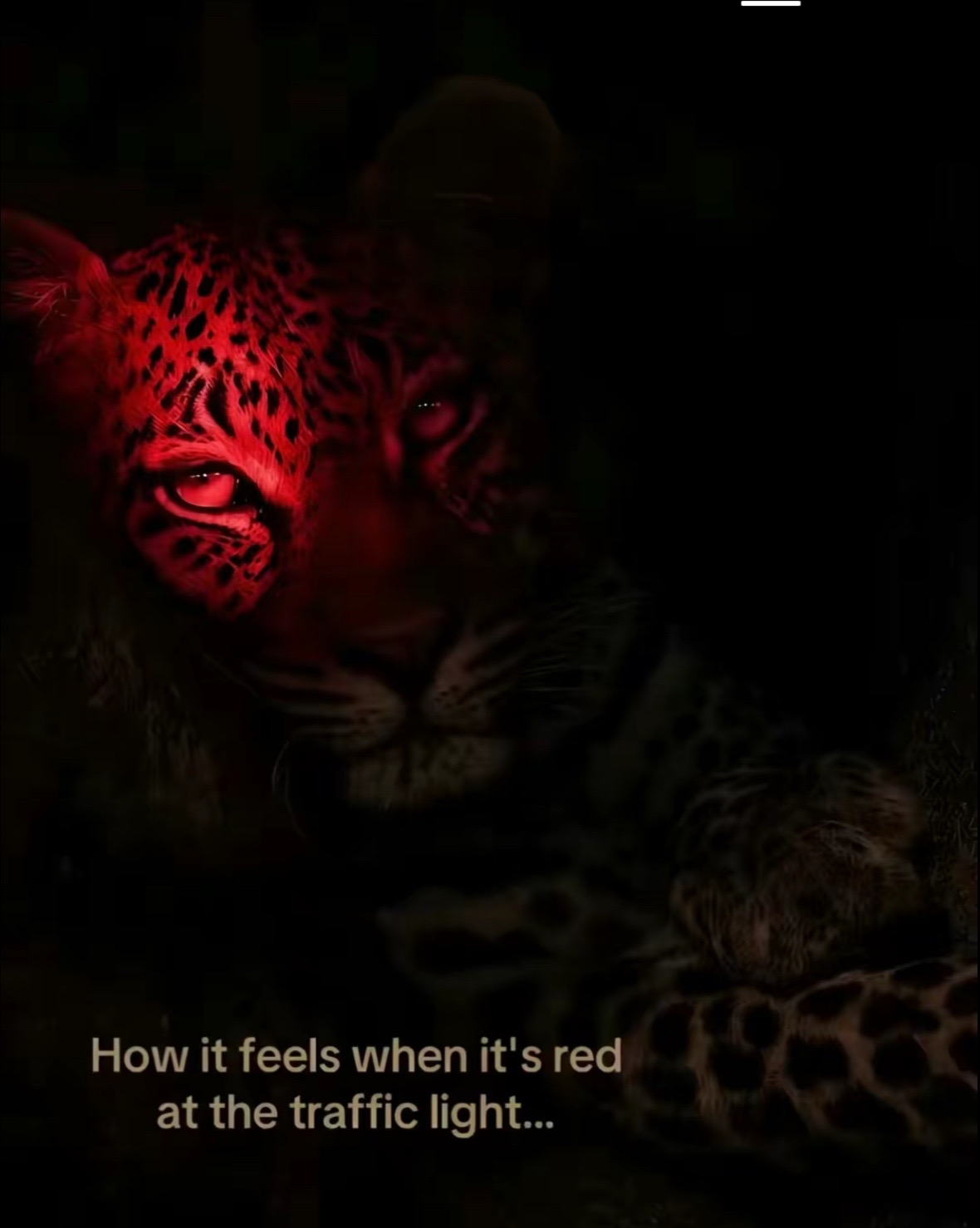 @Jc |||