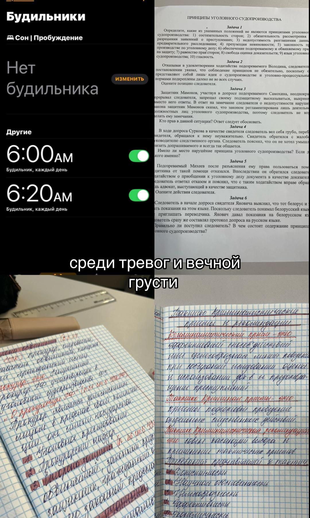 @𝕽