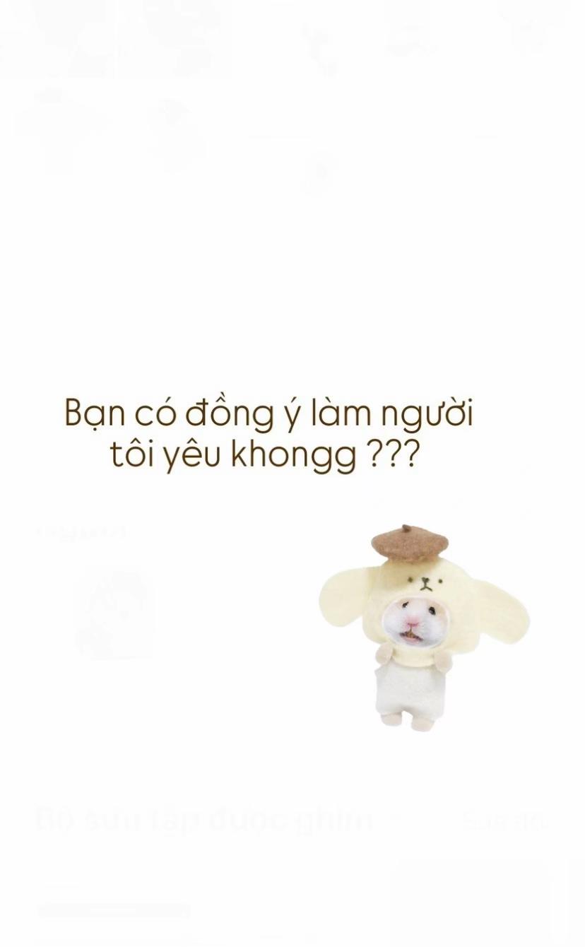@🌻