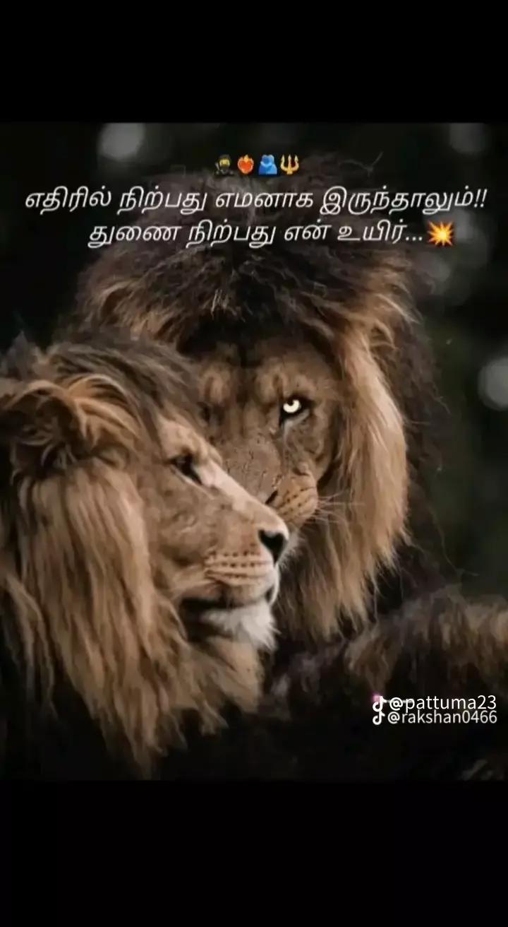 @🥺கல்லறை காதலி 🥺𝐒. 𝐊💗