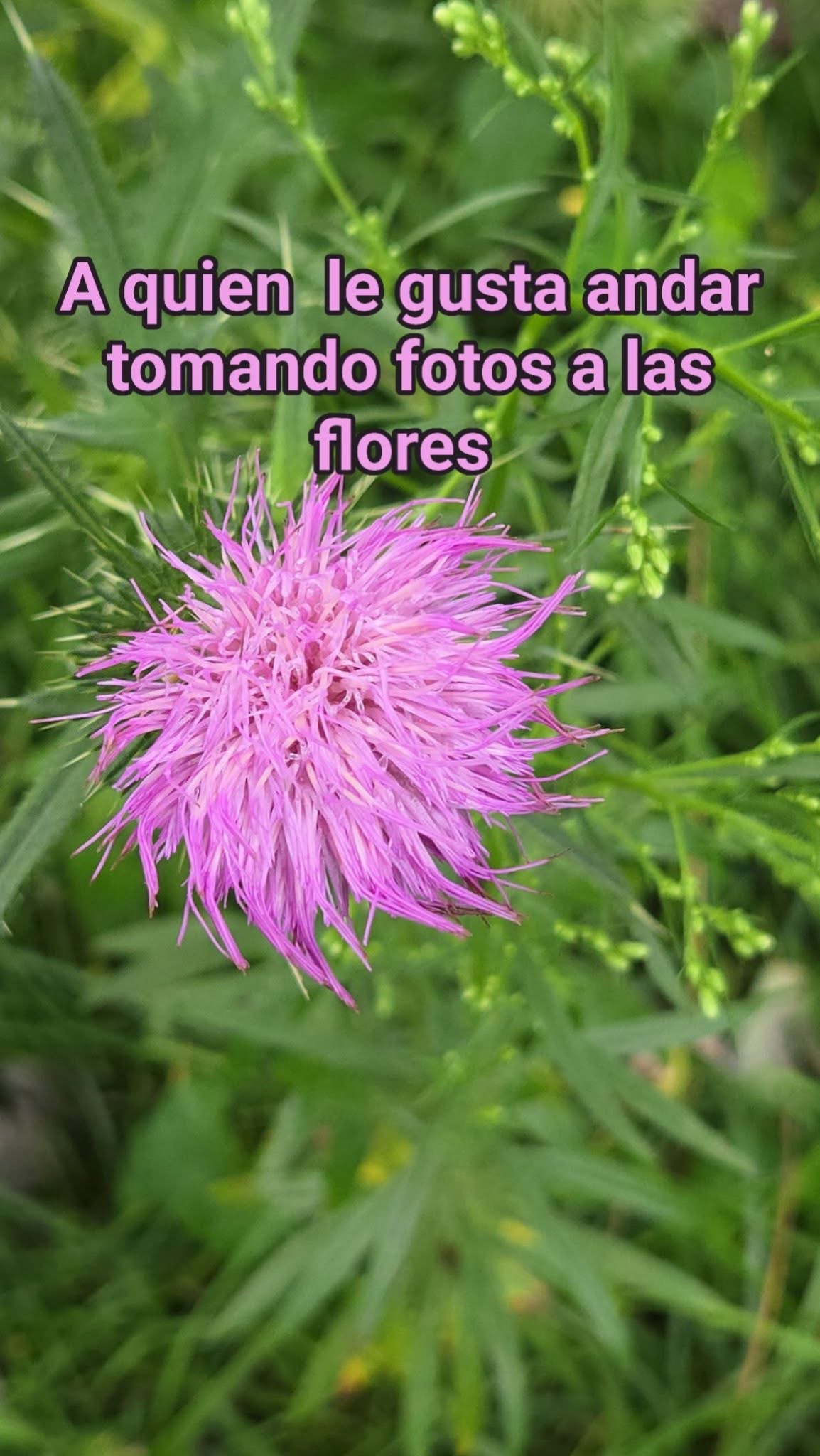 @Puras fotitos