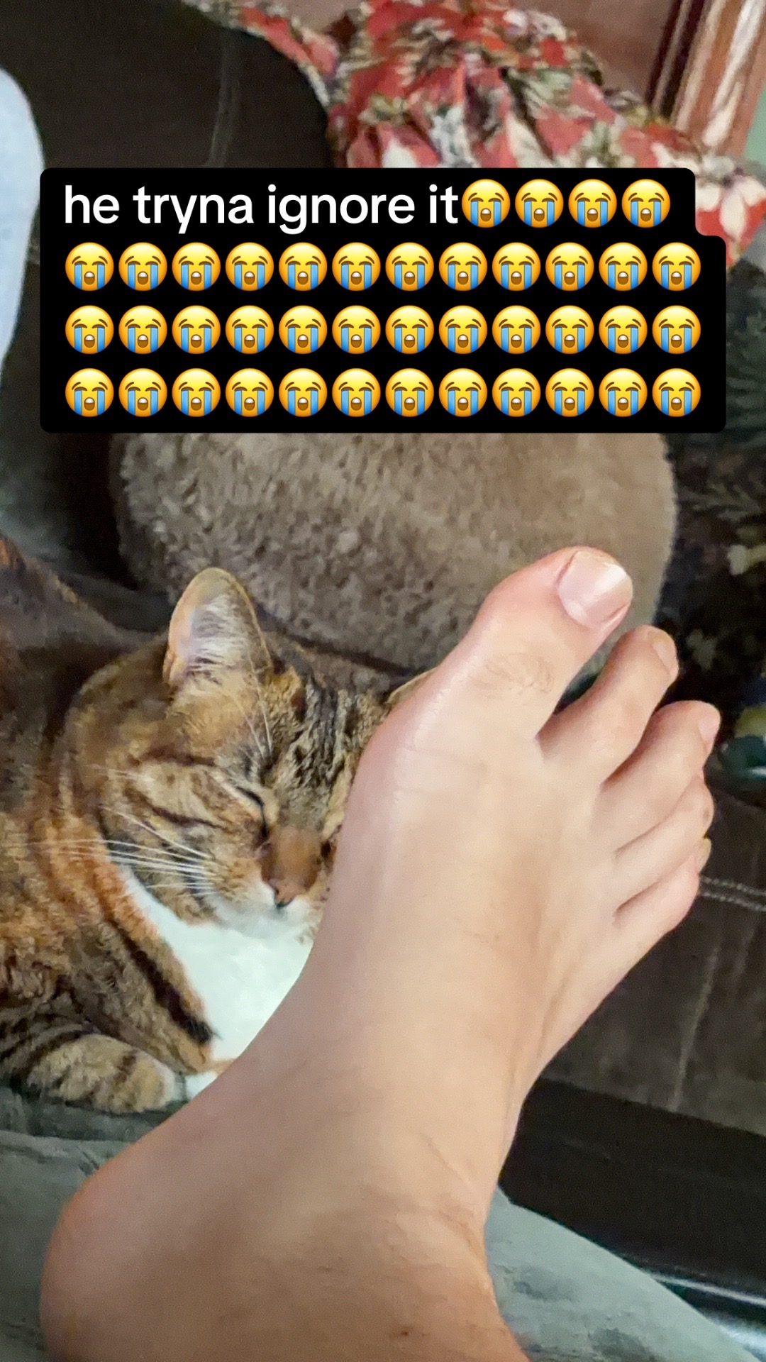 @BigBeefyLoad