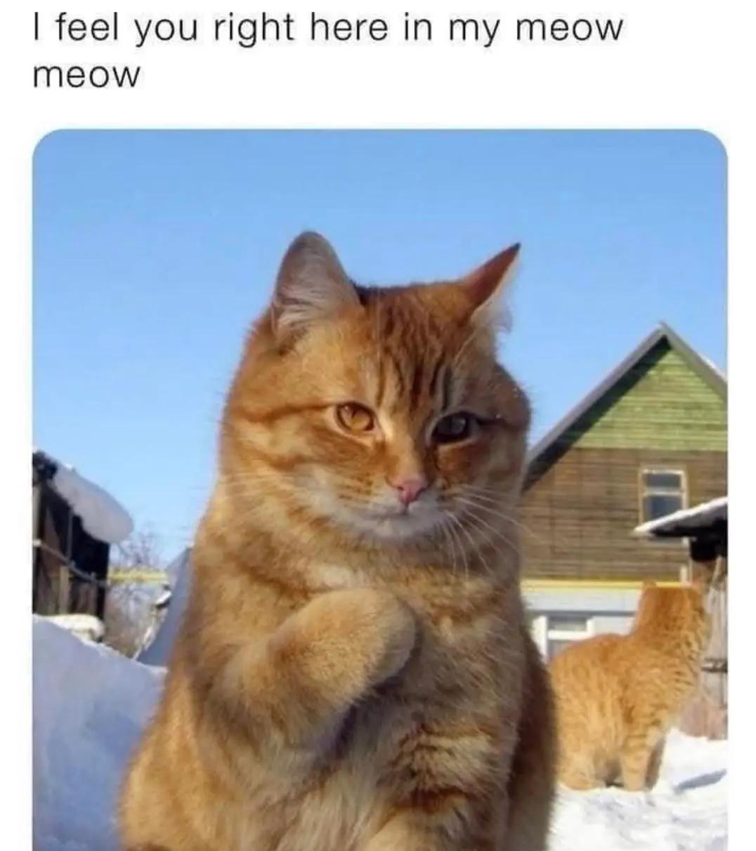 @_mehrbert_
