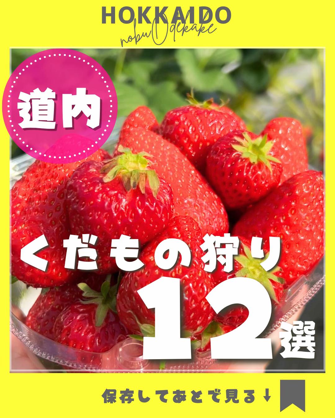 @nobu_odekake