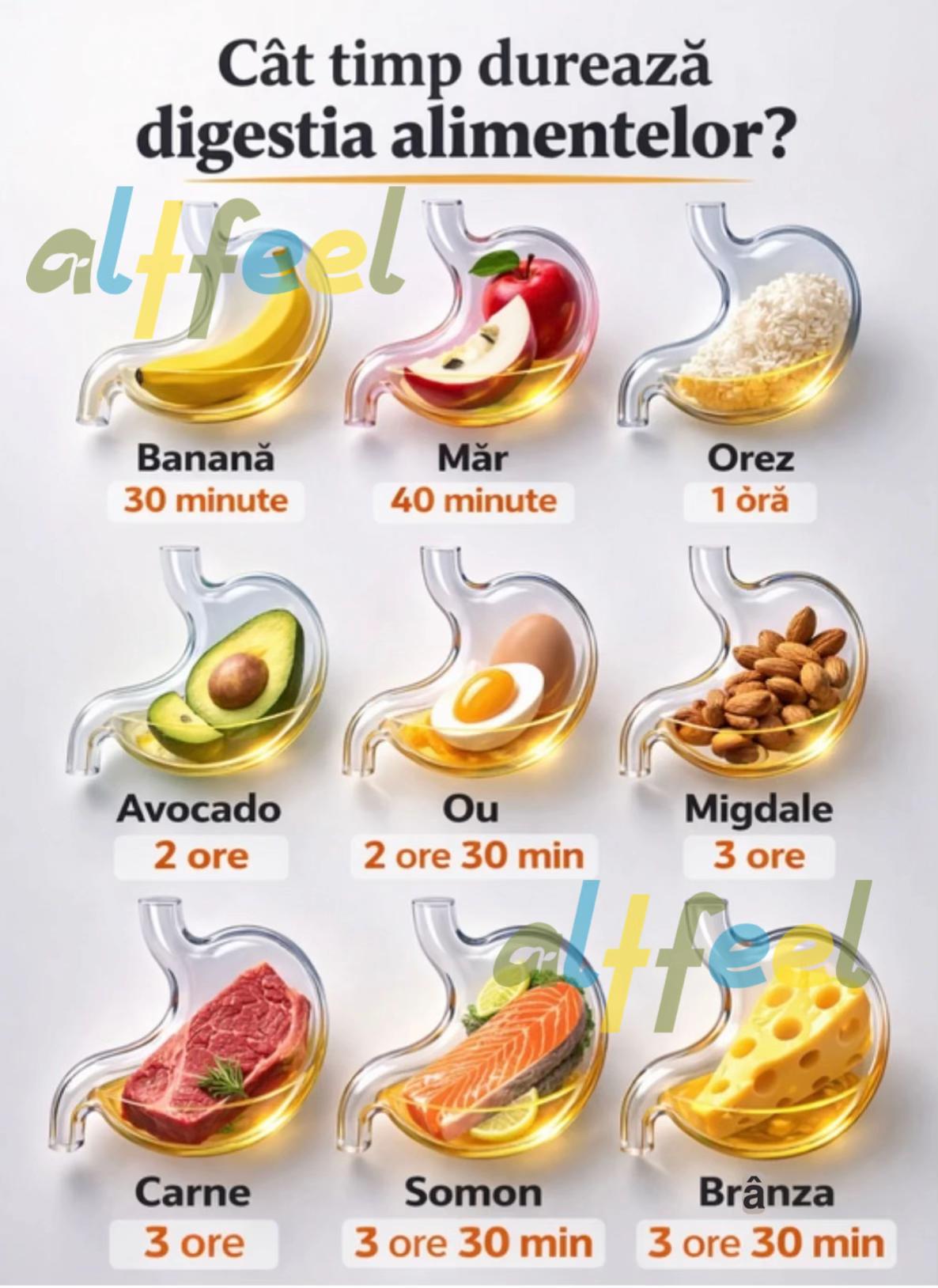 @Altfeel