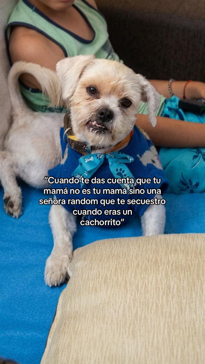 @Karol Leon