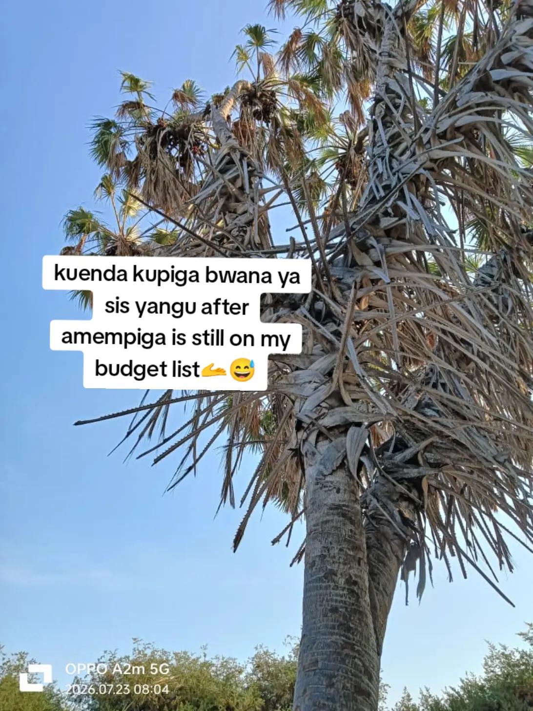 @Ti. errah🦋💙