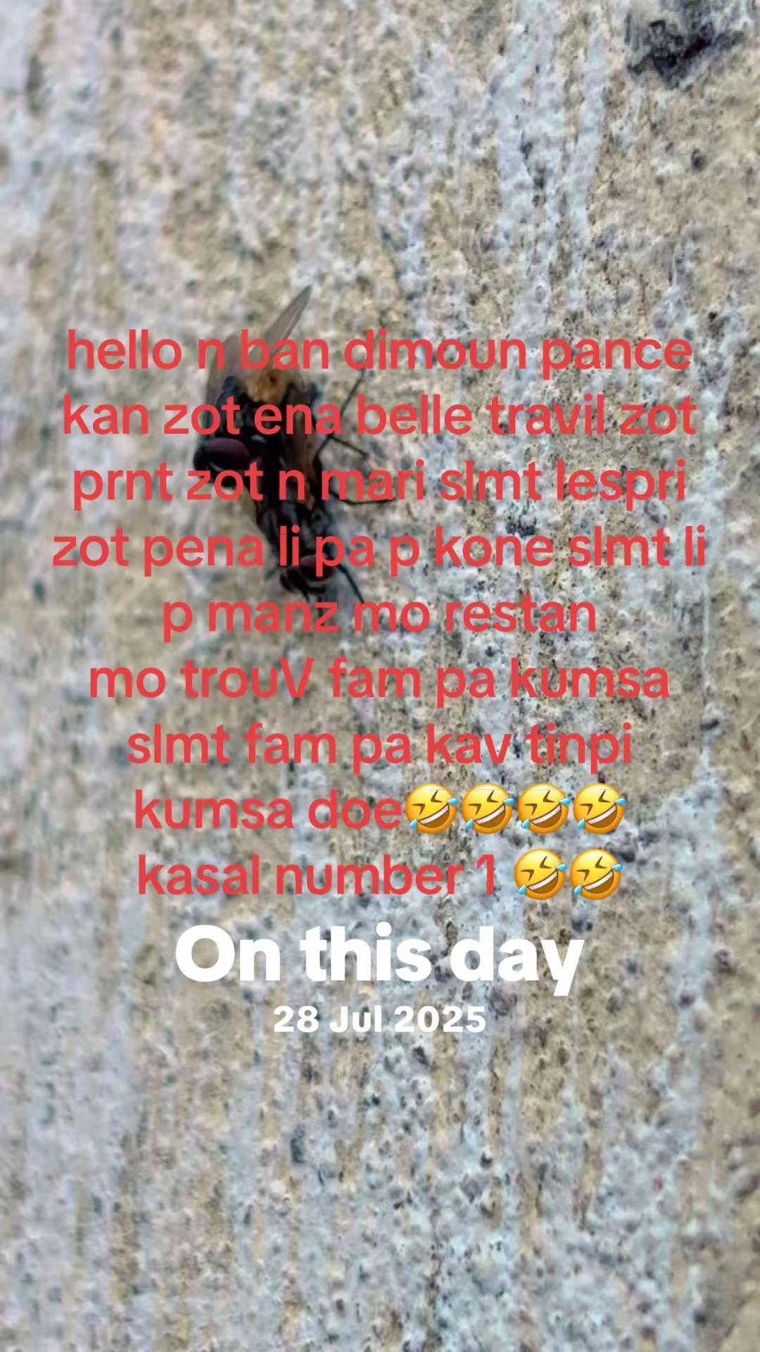 @Ayush🕉️✡️🇮🇳