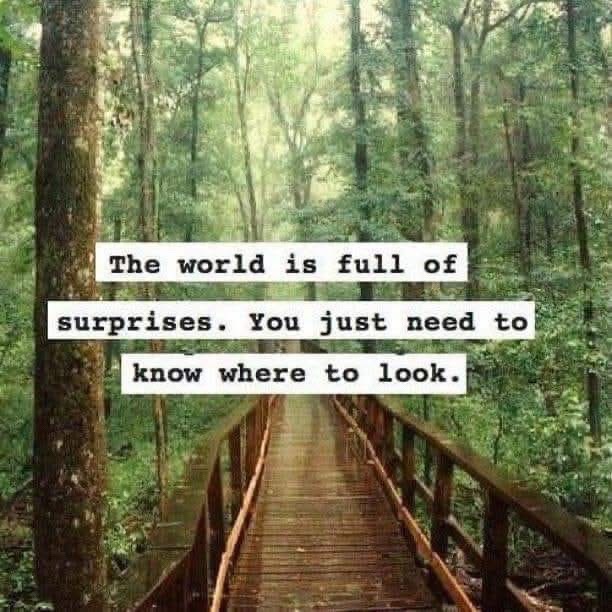 @🧿🪬vibrationhealingspace🧿🪬